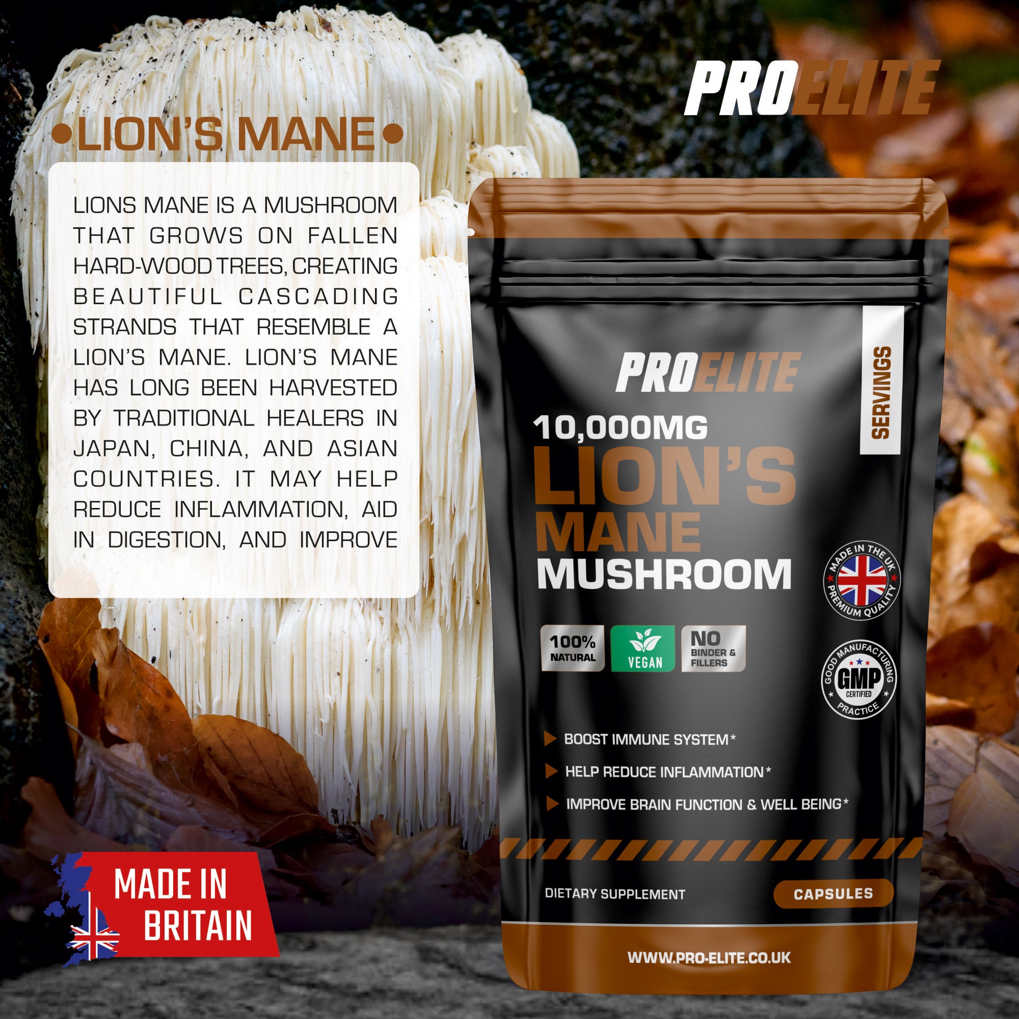 Lions Mane Mushroom Vegan Capsules | Pro-Elite