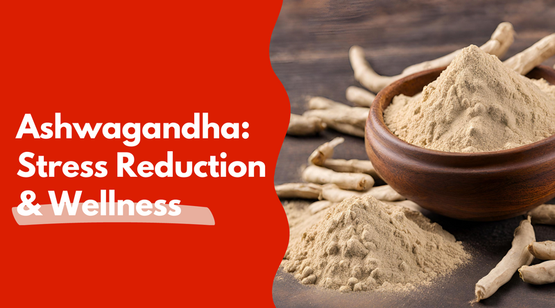 The Role of Ashwagandha in Stress Reduction and Fitness