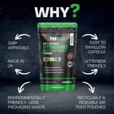 Stinging Nettle Root Vegan Capsules | Pro-Elite