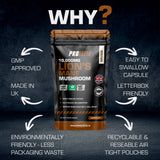 Lions Mane Mushroom Vegan Capsules | Pro-Elite