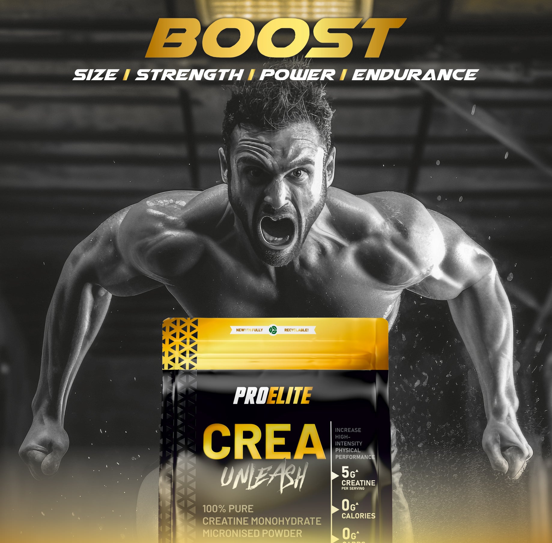 Pure Creatine Monohydrate Powder 1kg | Pro-Elite
