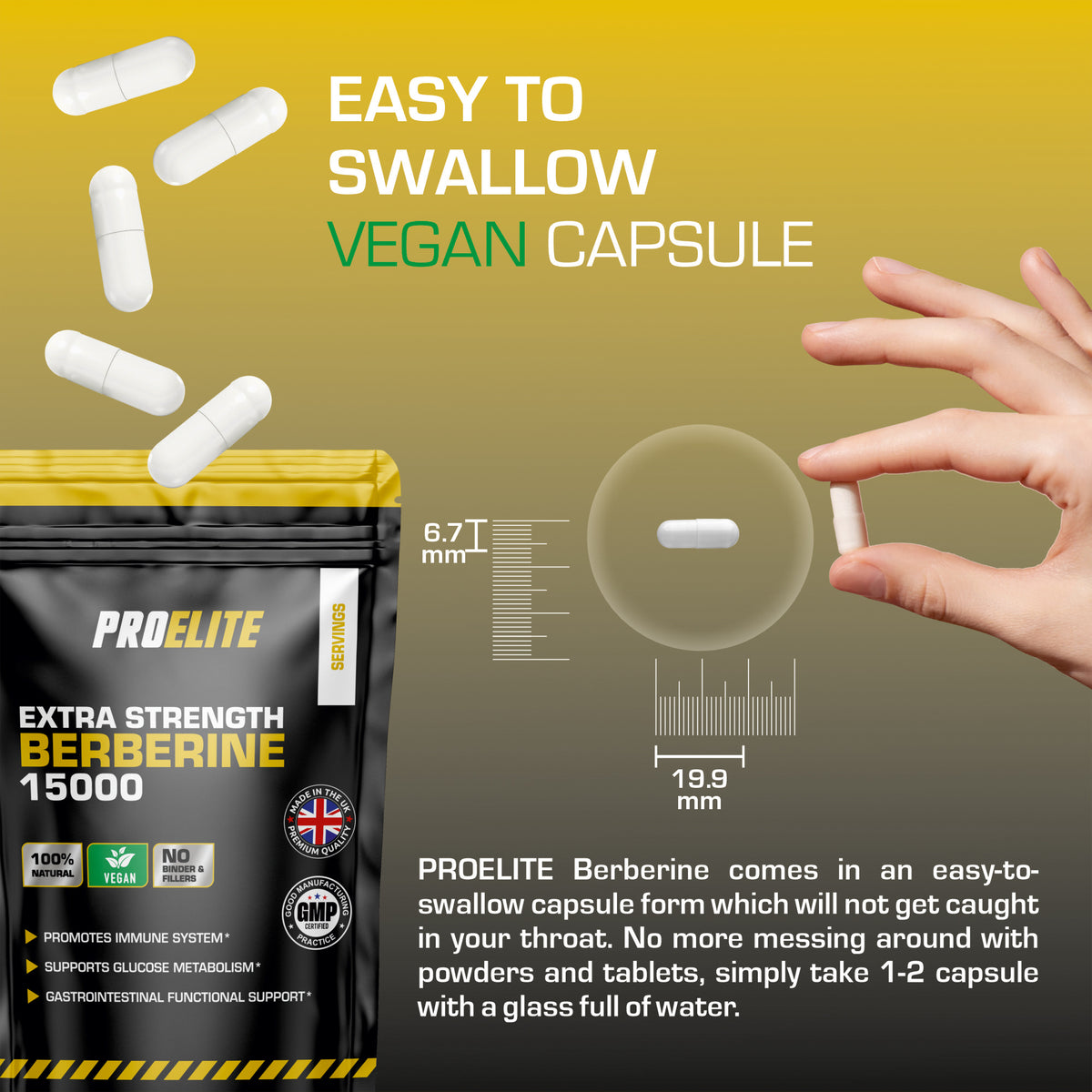 Berberine Vegan Capsules | Pro-Elite