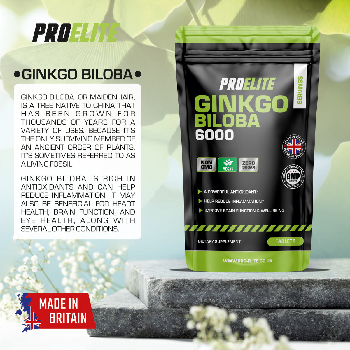 Ginkgo Biloba 6000 Vegan Tablets | Pro-Elite