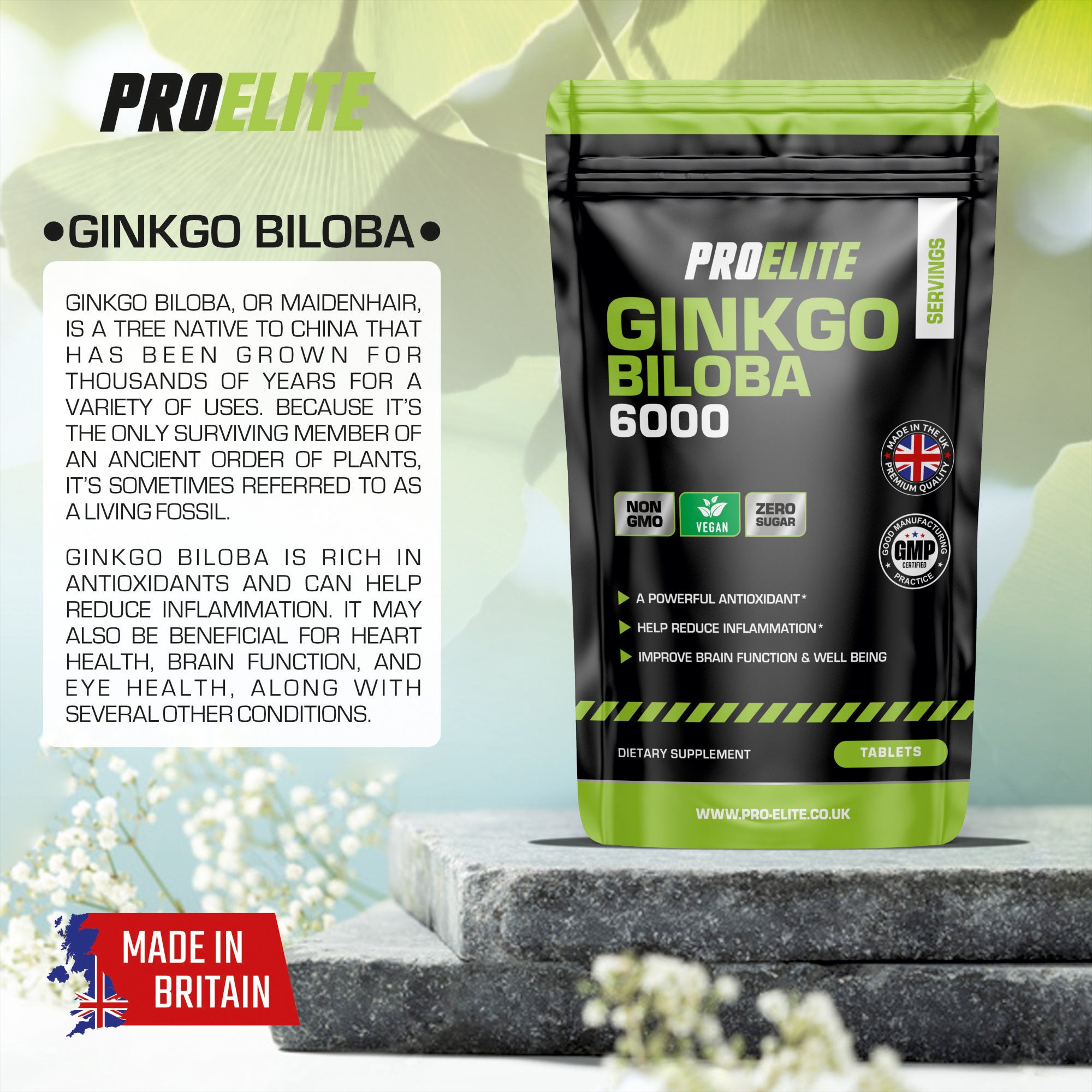 Ginkgo Biloba 6000 Vegan Tablets | Pro-Elite