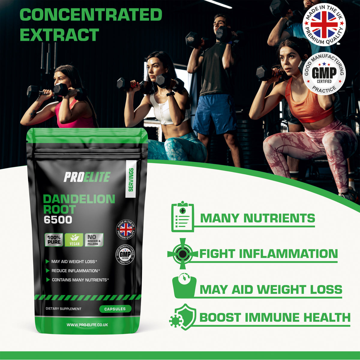 Dandelion Root Capsules | Pro-Elite