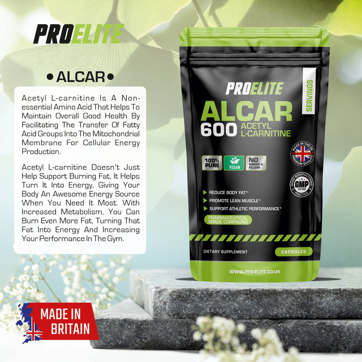 Acetyl L-Carnitine Vegan Capsules | Pro-Elite
