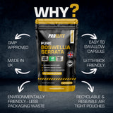 Boswellia Serrata Capsules | Pro-Elite