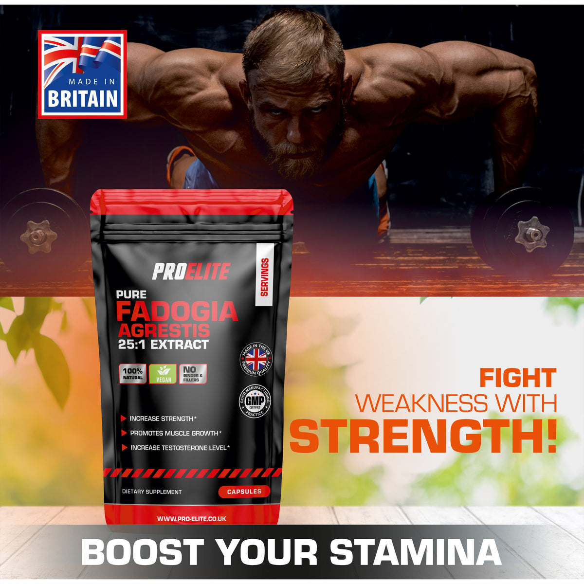 Fadogia Agrestis 25:1 Extract Vegan Capsules | Pro-Elite