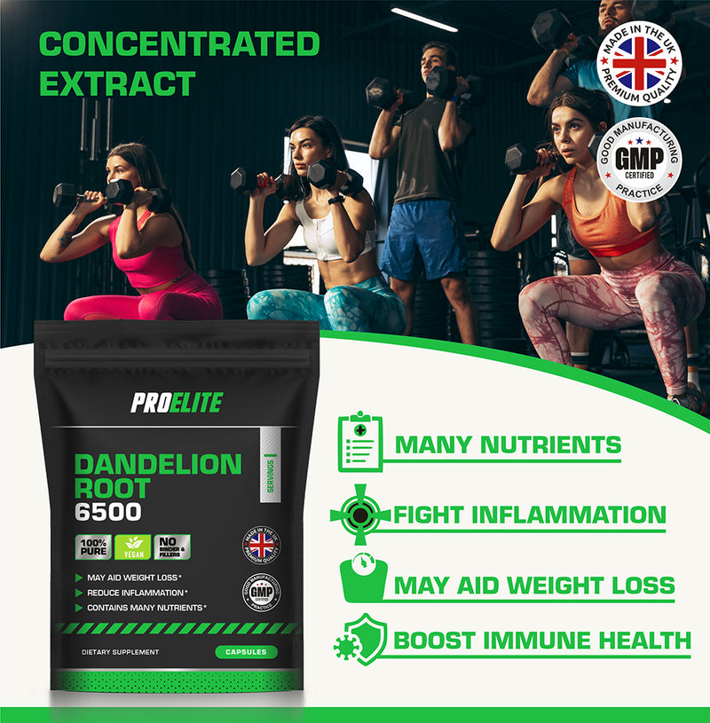 PROELITE Dandelion Root Capsules