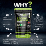 Bacopa Monnieri Capsules | Pro-Elite