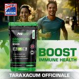 Dandelion Root Capsules | Pro-Elite