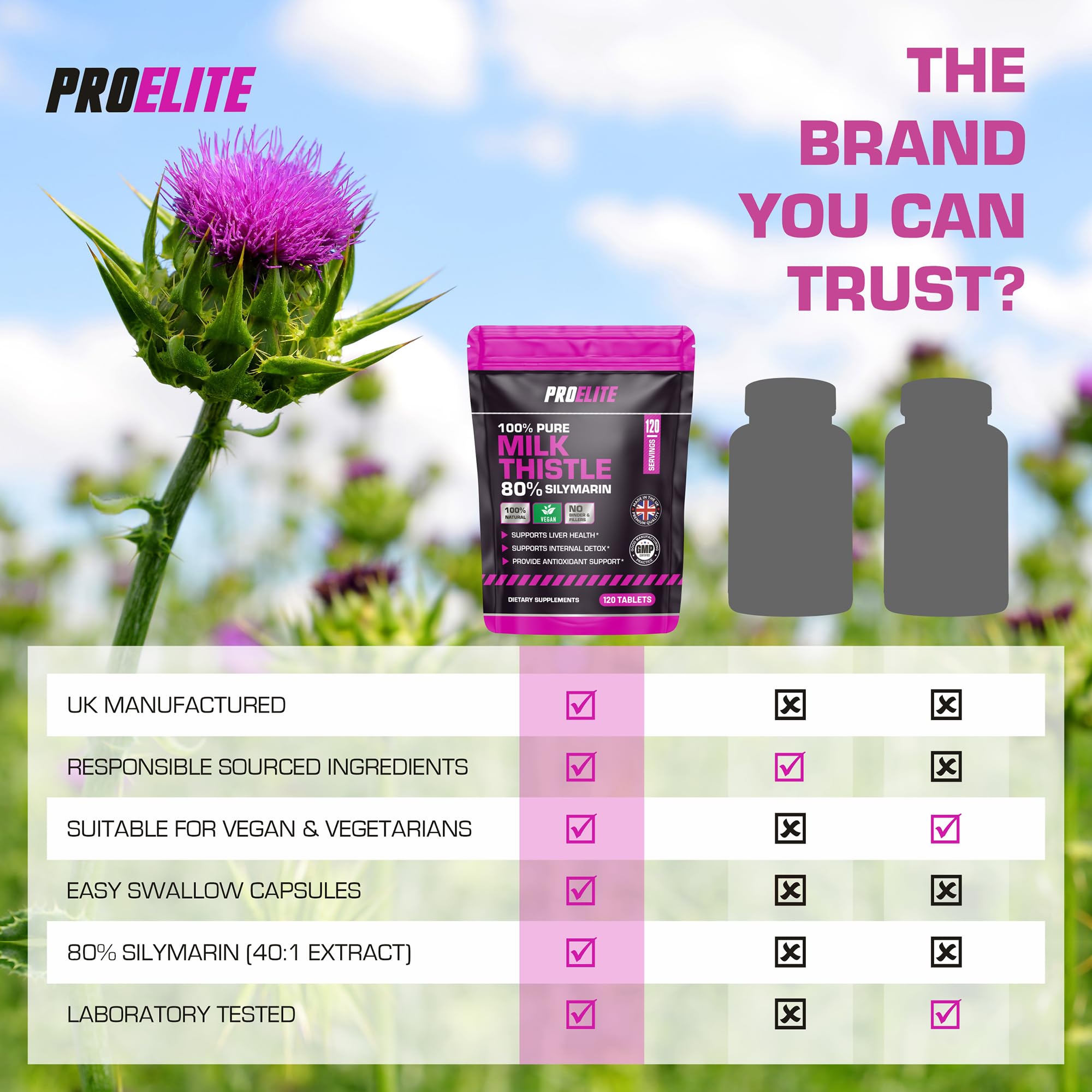 Milk Thistle 40:1 Extract Vegan Tablets | Pro-Elite