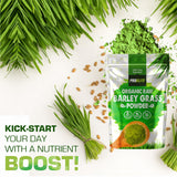 Wheat Grass Powder | Pro-Elite