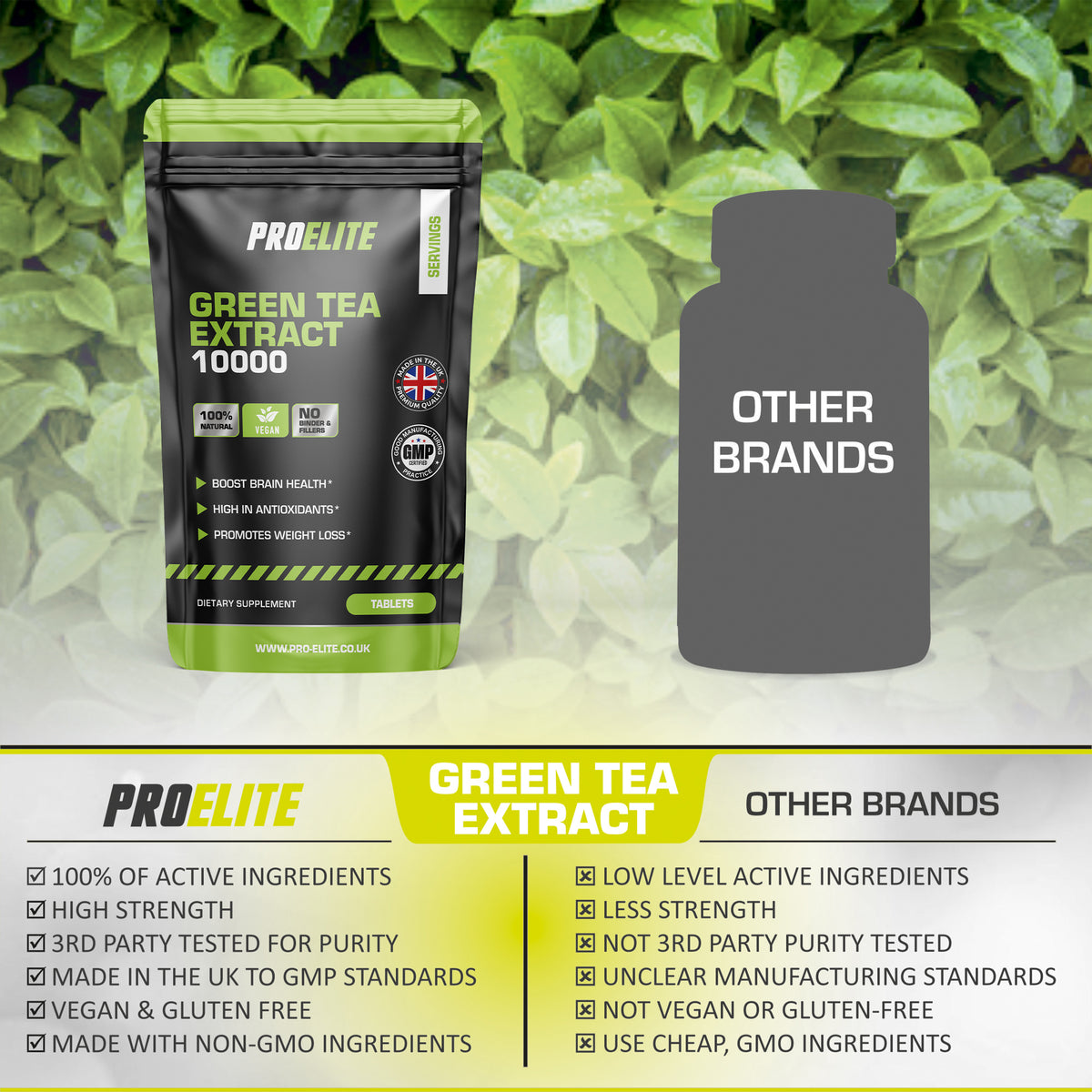 Green Tea Extract Tablets | Pro-Elite