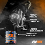 Creatine Monohydrate 300g | Pro-Elite