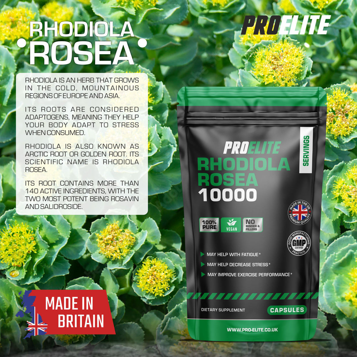 Rhodiola Rosea Capsules | Pro-Elite