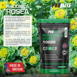 Rhodiola Rosea Capsules | Pro-Elite