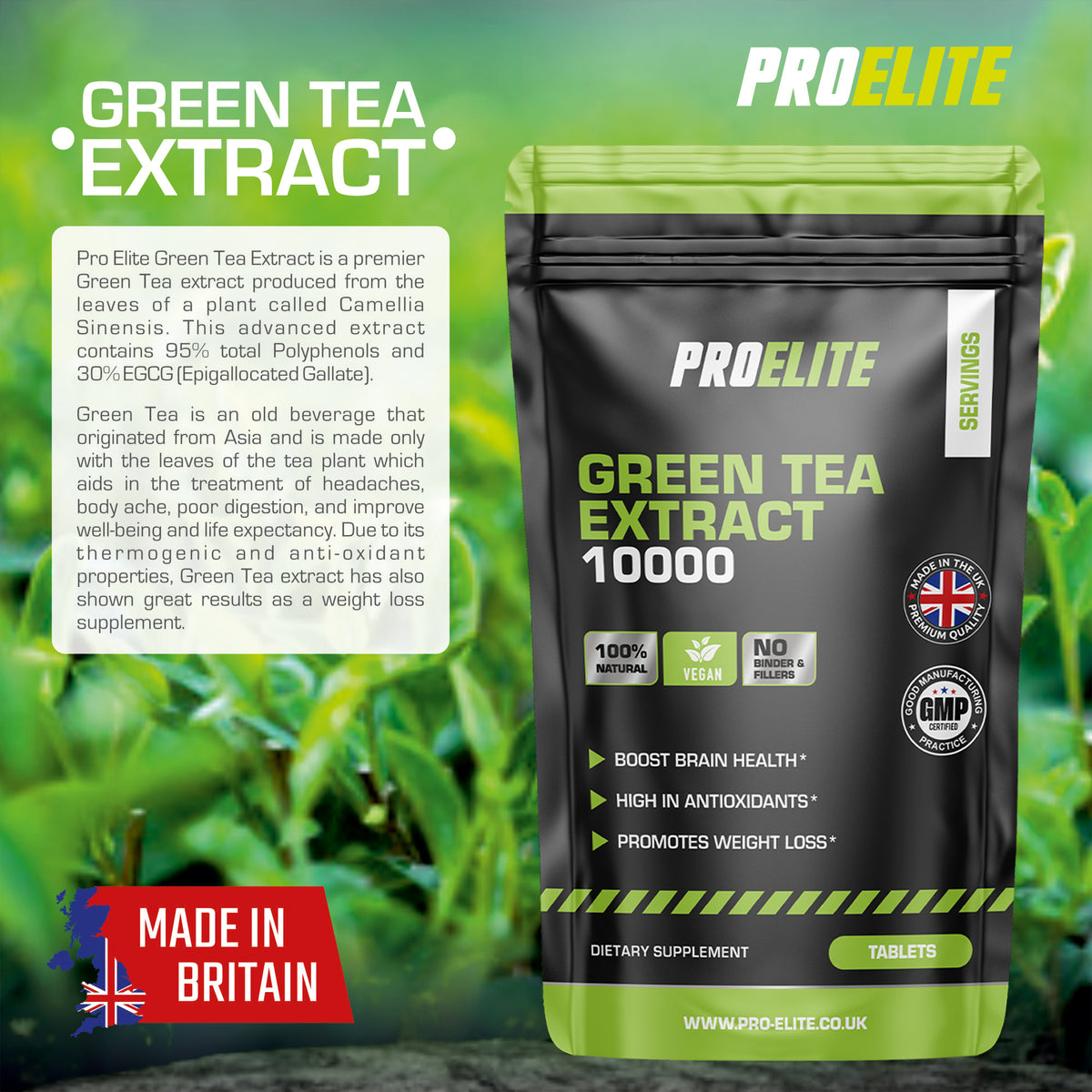 Green Tea Extract Tablets | Pro-Elite