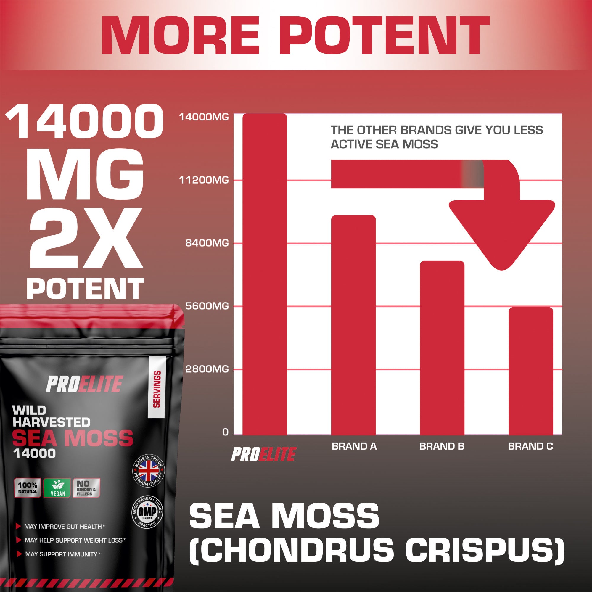 Sea Moss Vegan Capsules | Pro-Elite