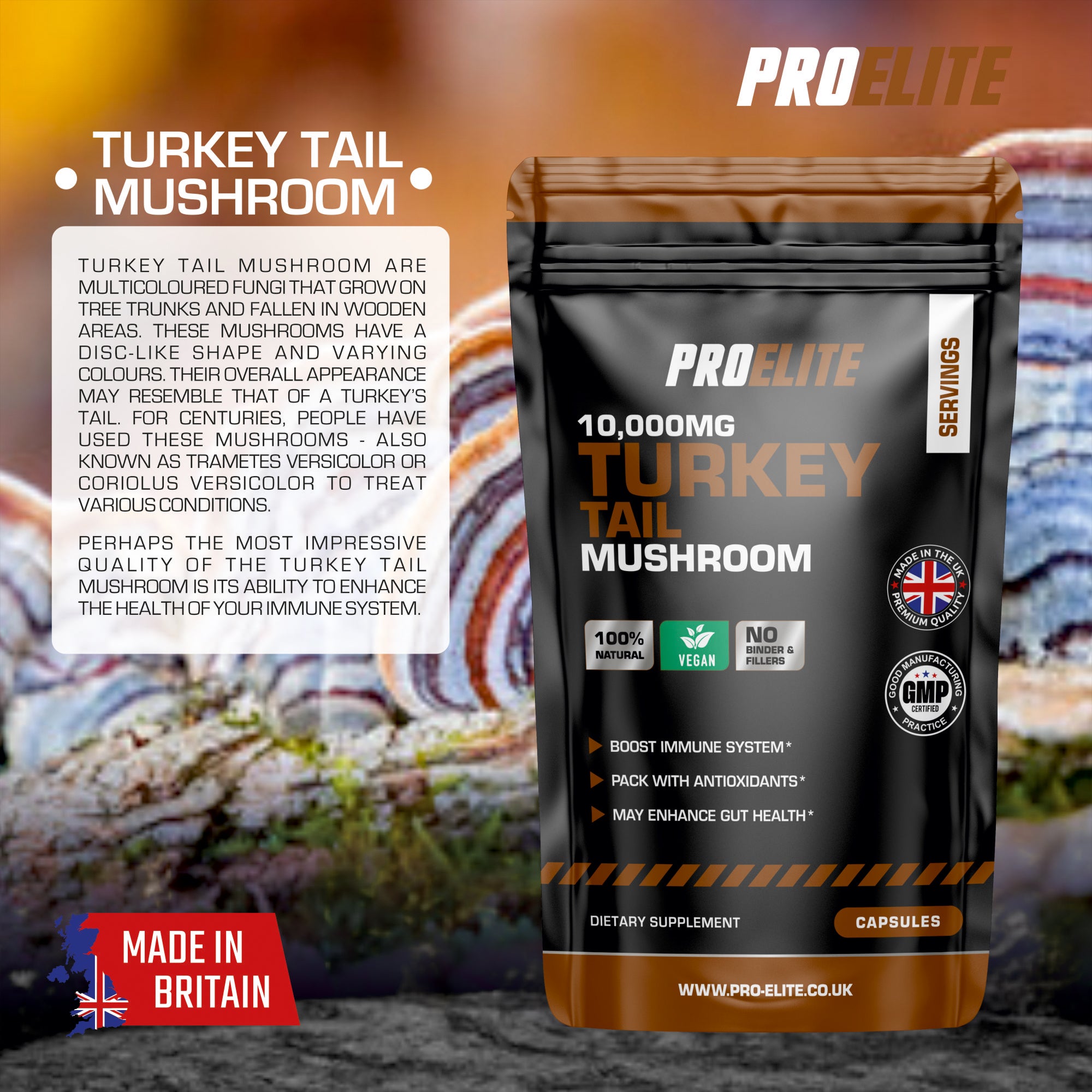 Turkey Tail Mushroom Vegan Capsules | Pro-Elite
