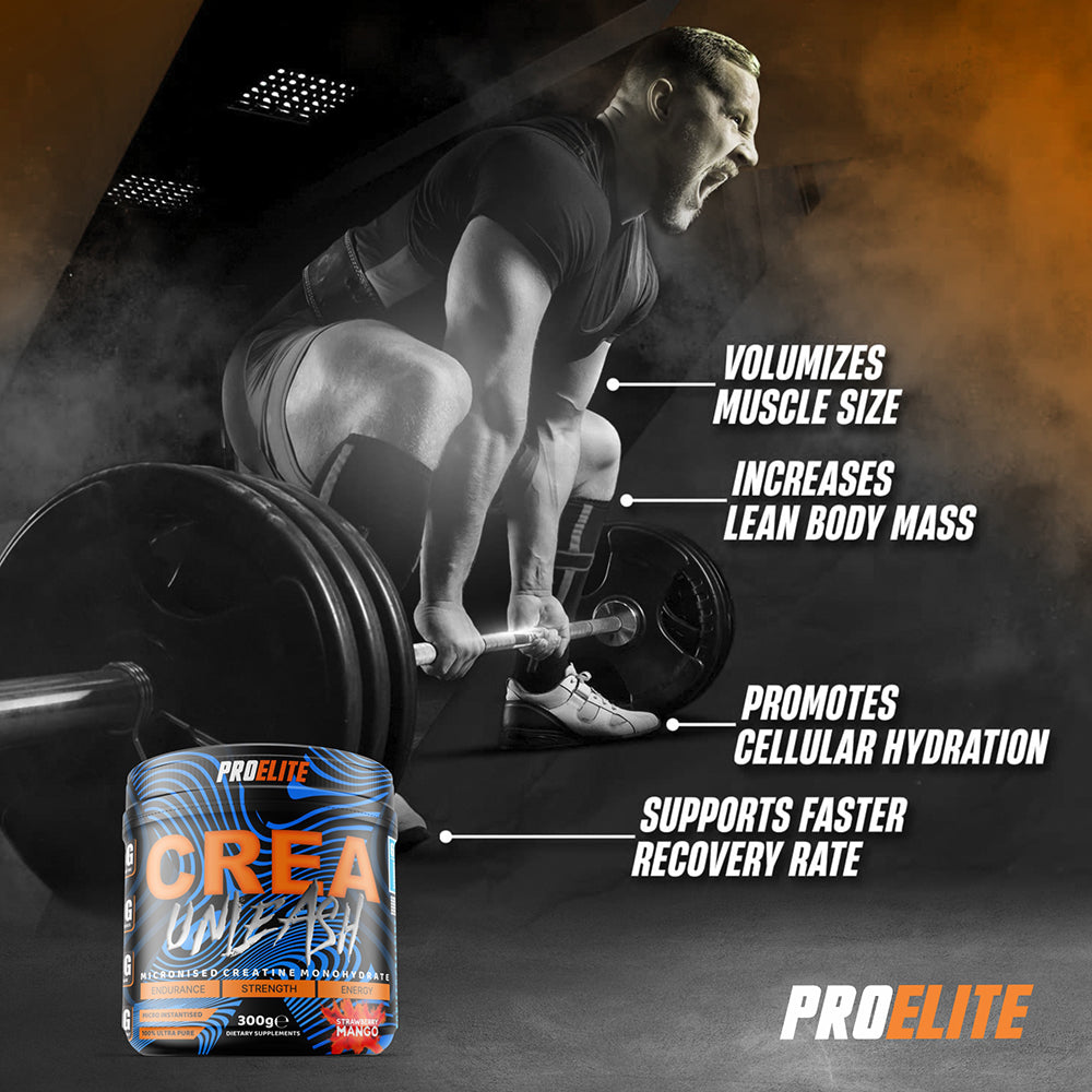 Creatine Monohydrate 300g | Pro-Elite