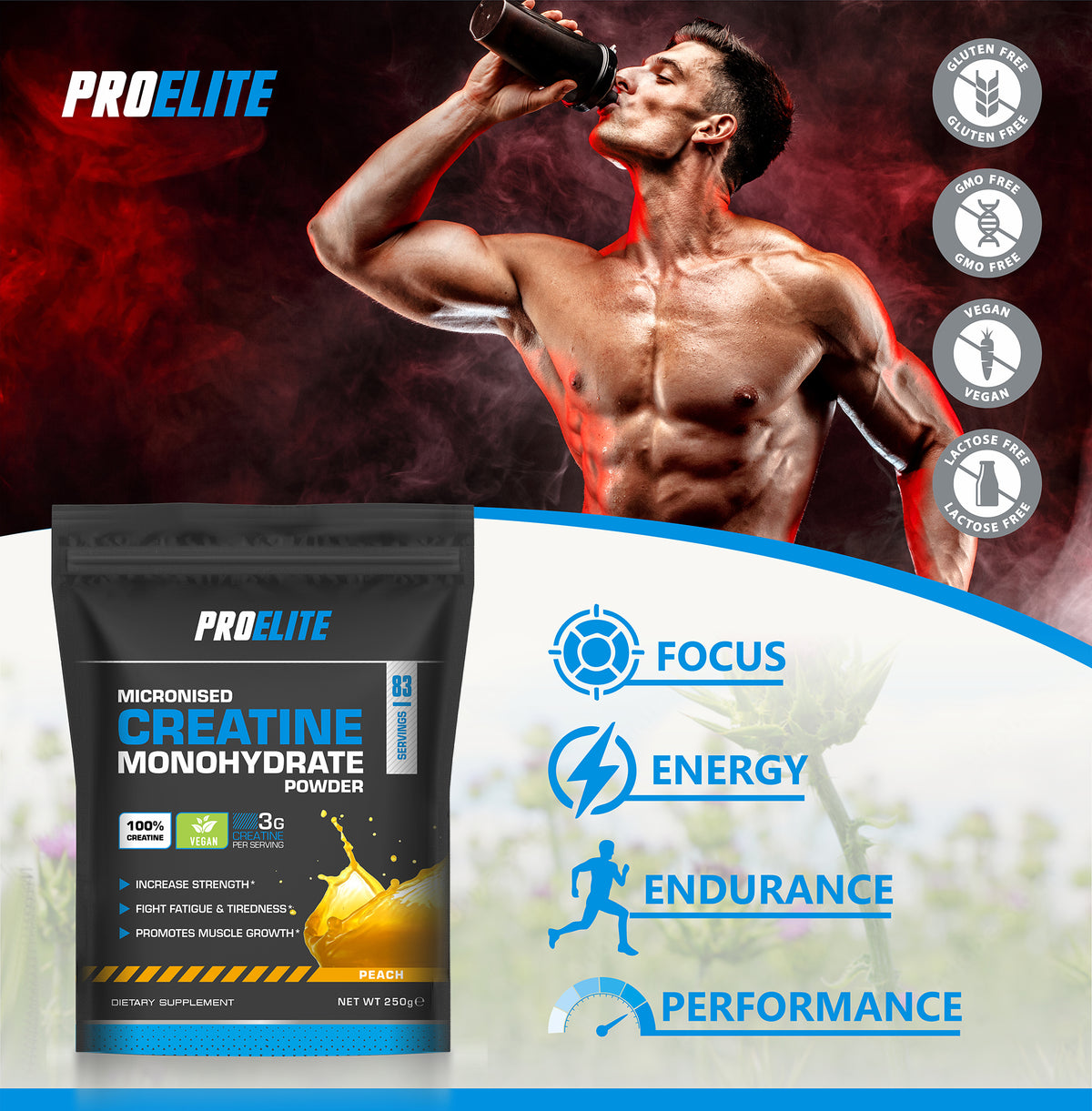 Creatine Monohydrate Pouch 250g | Pro-Elite