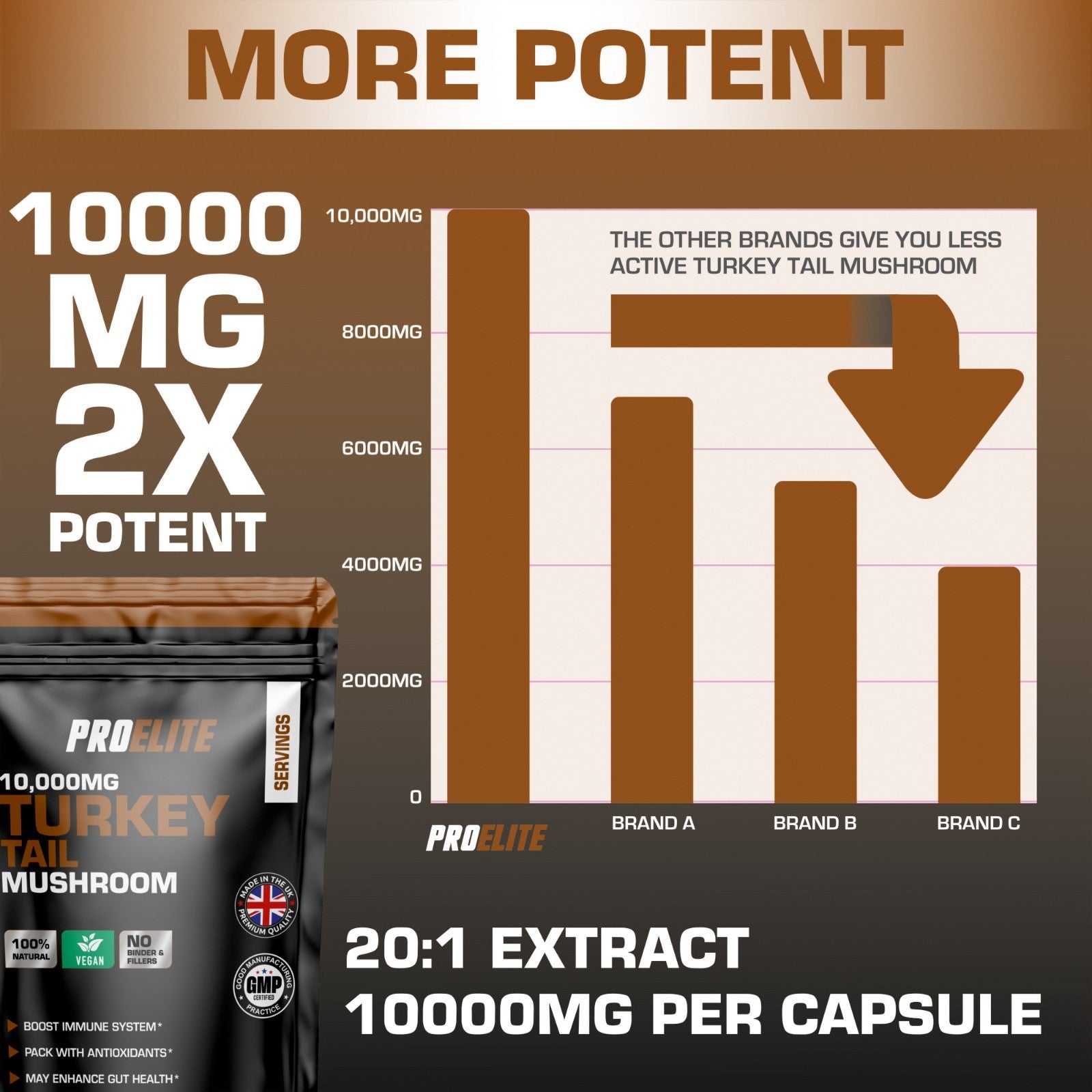 Turkey Tail Mushroom Vegan Capsules | Pro-Elite