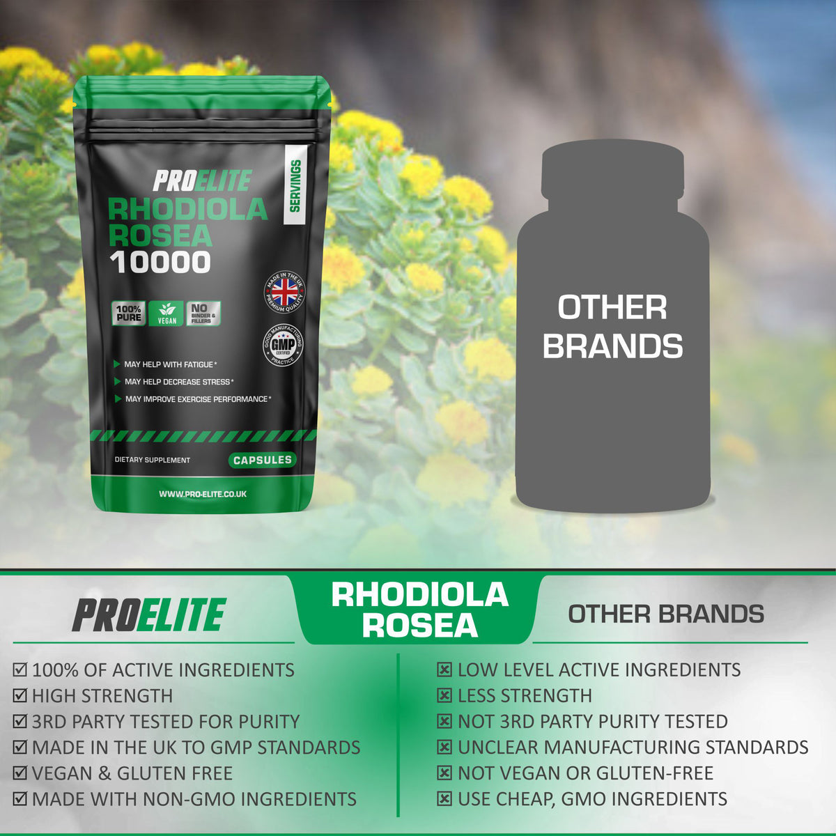 Rhodiola Rosea Capsules | Pro-Elite