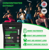 Dandelion Root Capsules | Pro-Elite