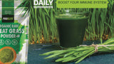 Wheat Grass Powder