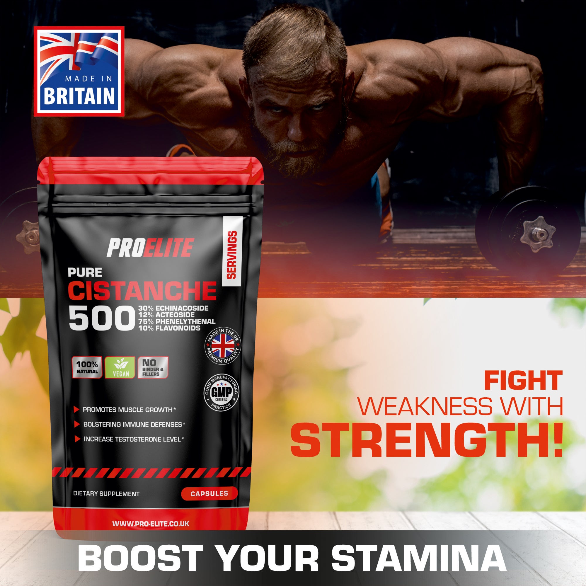 PROELITE Cistanche 20:1 Extract Vegan Capsules