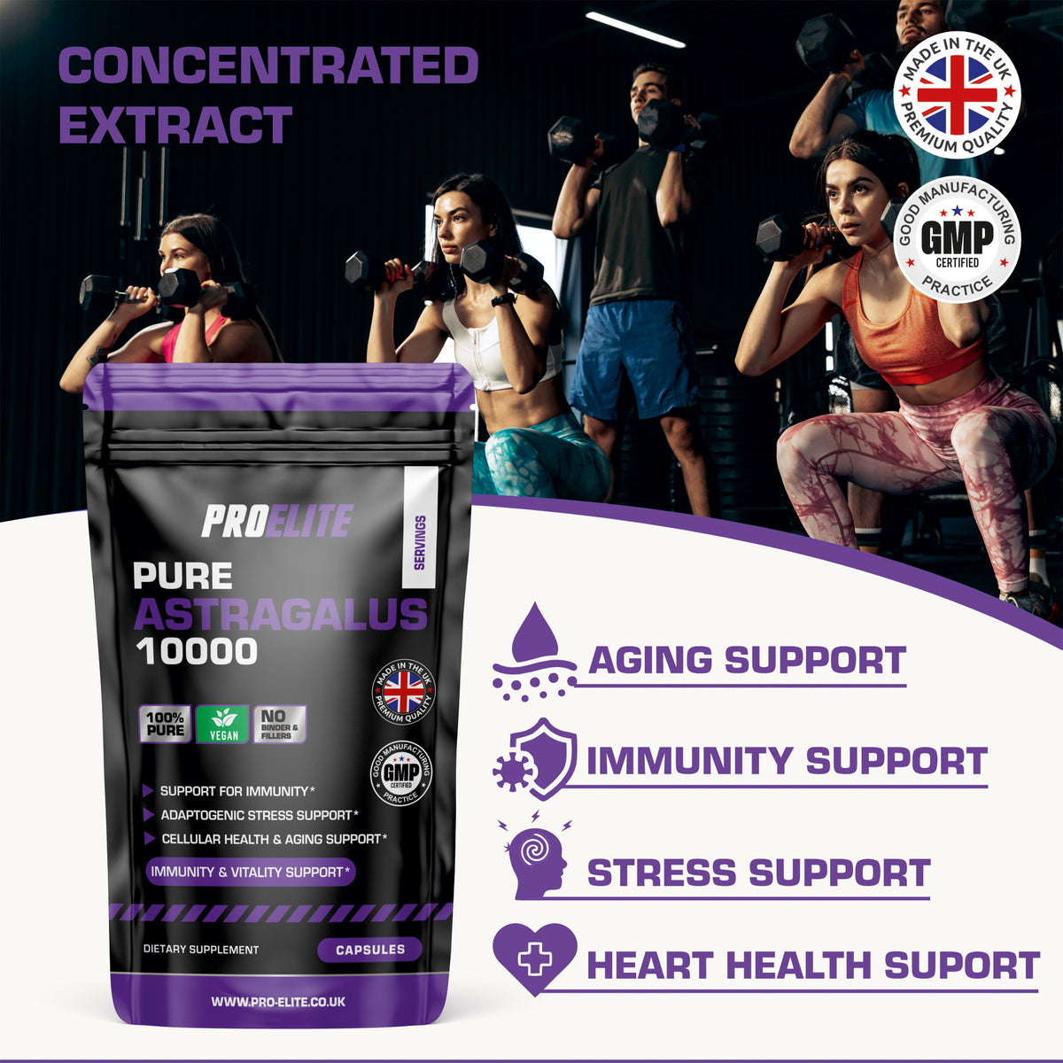 Astragalus Capsules | Pro-Elite