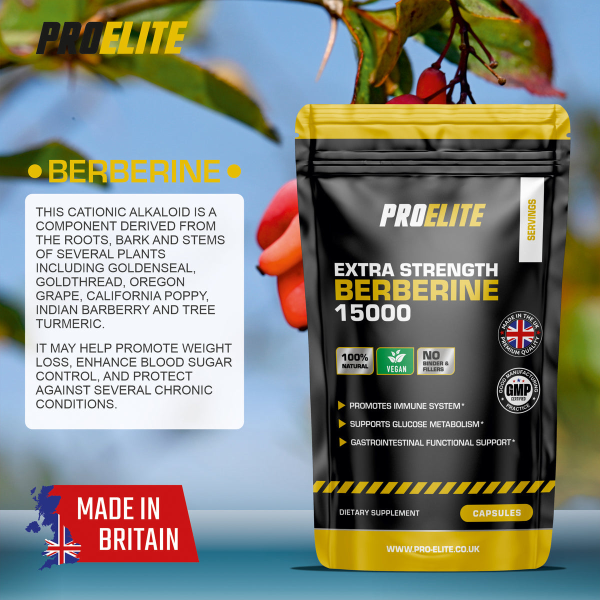 Berberine Vegan Capsules | Pro-Elite