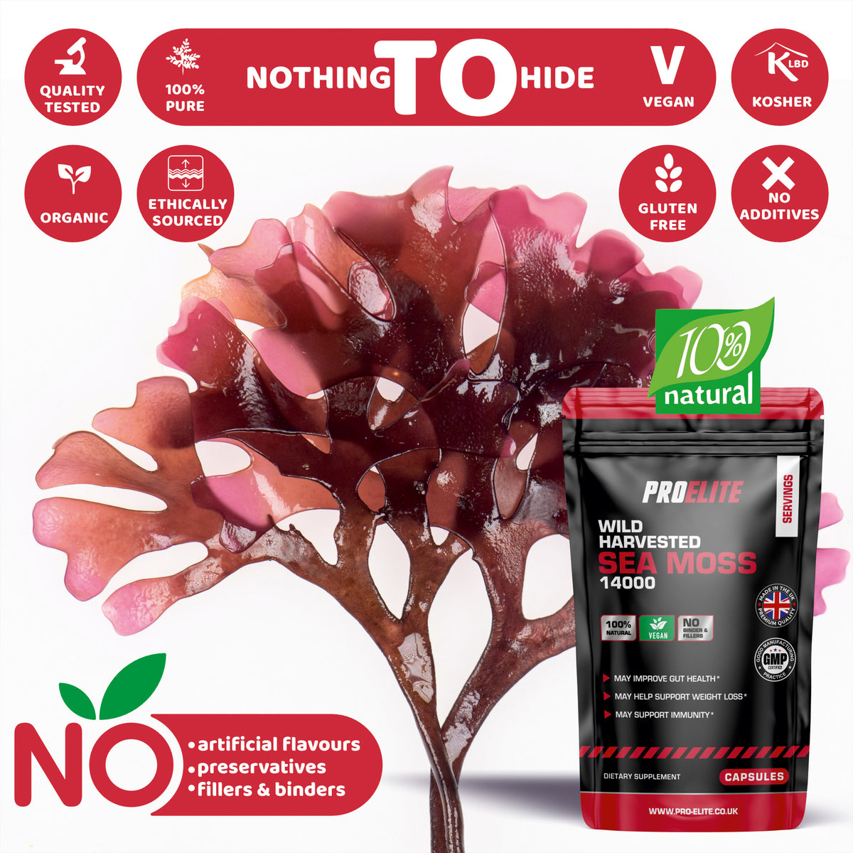 Sea Moss Vegan Capsules | Pro-Elite