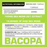 Bacopa Monnieri Capsules | Pro-Elite
