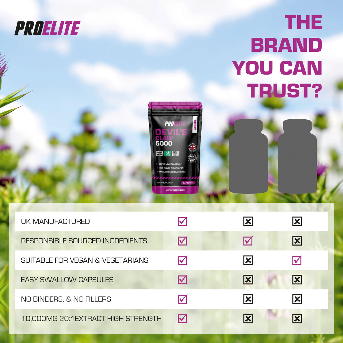 Devil's Claw Vegan Capsules | Pro-Elite