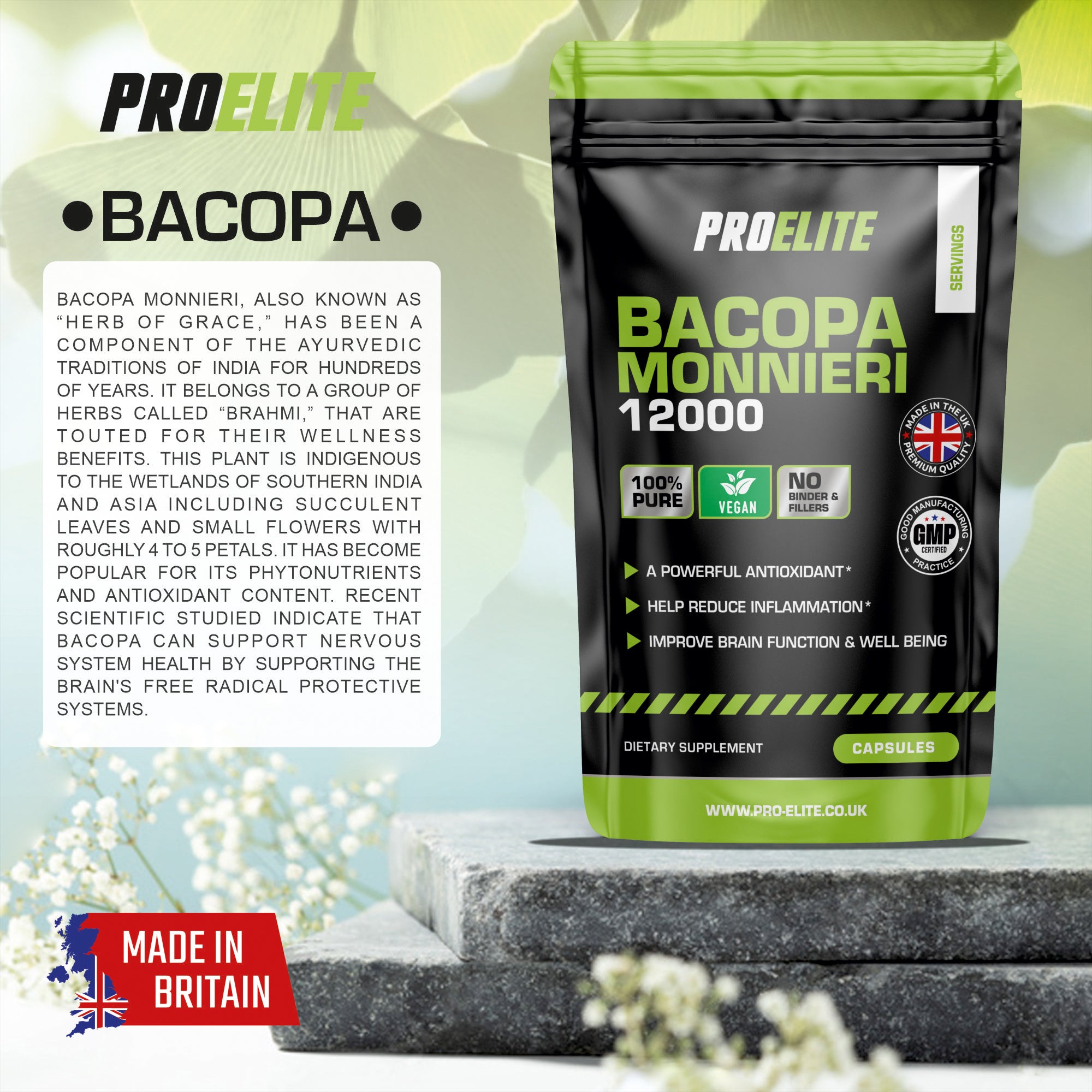 PROELITE Bacopa Monnieri Capsules