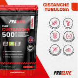 Cistanche 20:1 Extract Vegan Capsules | Cistanche