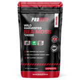 Sea Moss Vegan Capsules | Pro-Elite