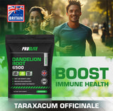 Dandelion Root Capsules | Pro-Elite